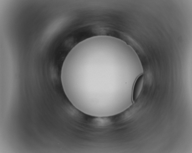 X0000113930477200910091606