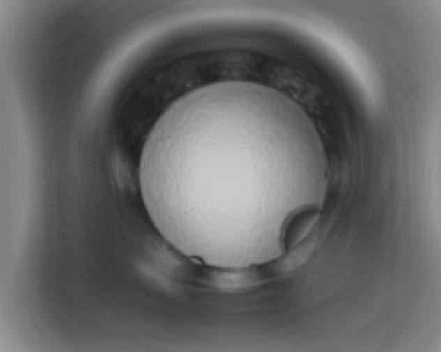 X0000113930479200910091606