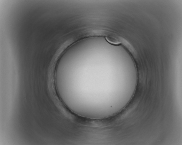 X0000113930481200910091605