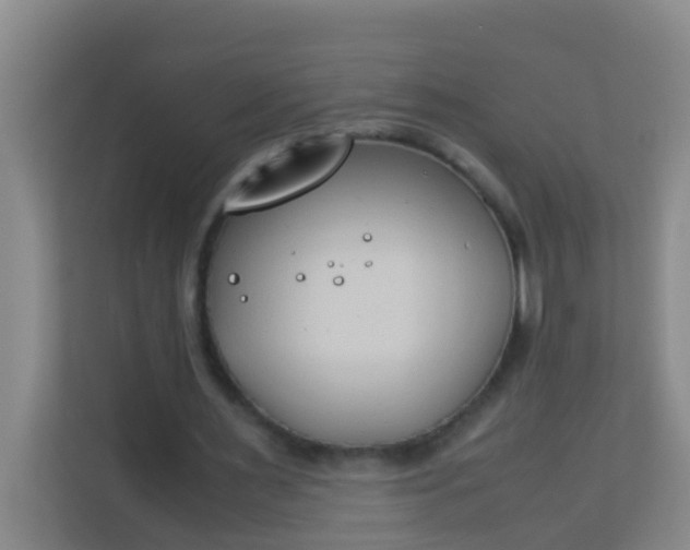 X0000113930483200910091605