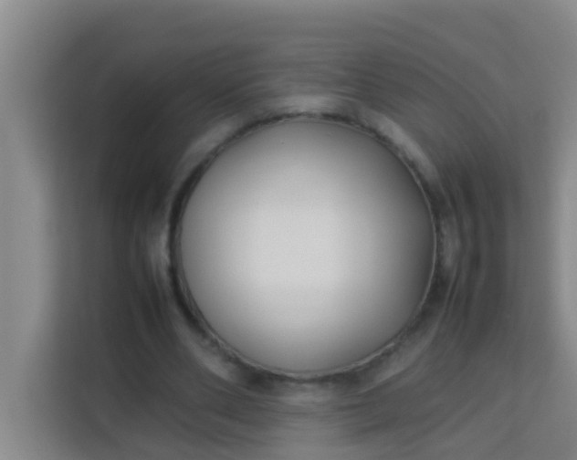 X0000113930486200910091605