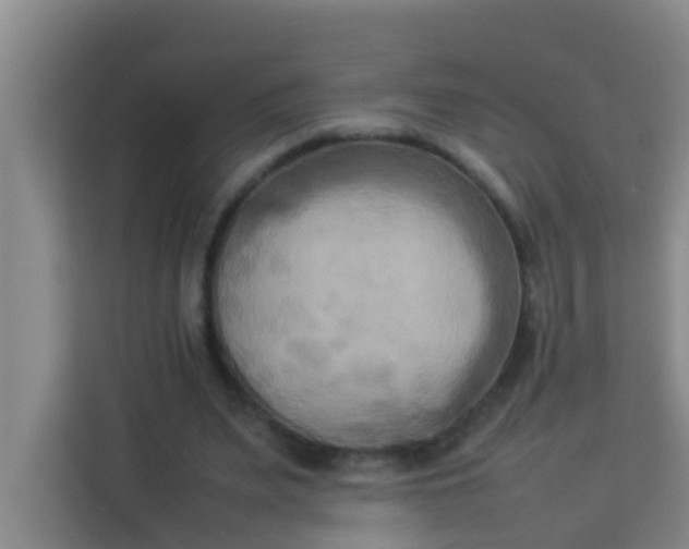 X0000113930487200910091605