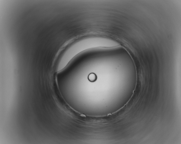 X0000113930488200910091605