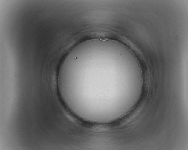 X0000113930489200910091605