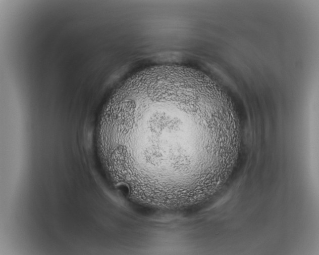 X0000113930491200910091605