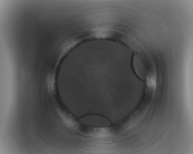 X0000113930492200910091605