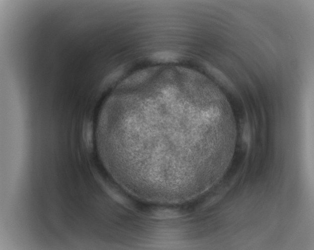 X0000113930494200910091605