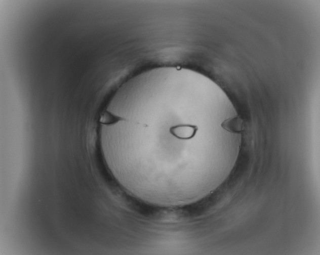 X0000113930495200910091605