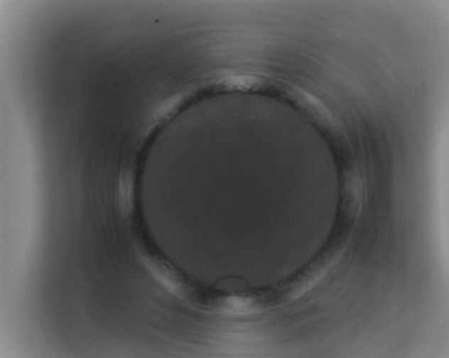 X0000113930496200910091605