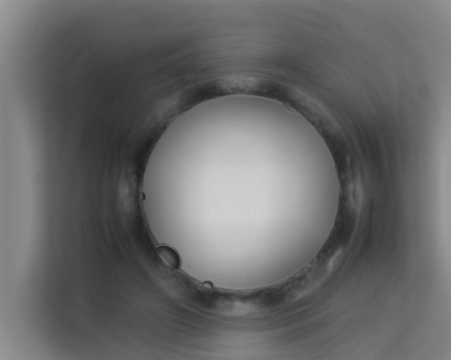 X0000113930498200910091605