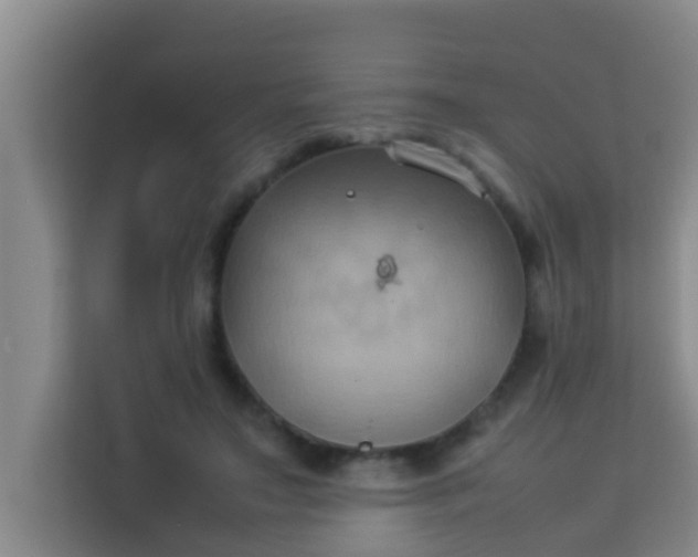 X0000113930499200910091605