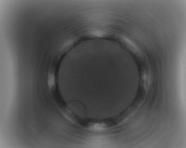 X0000113930500200910091605