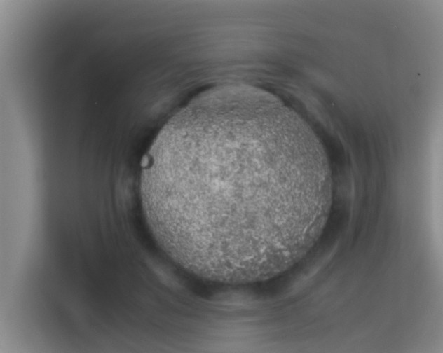 X0000113930503200910091605