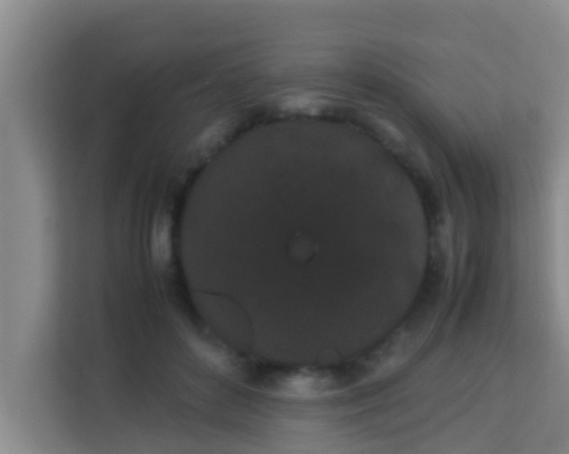 X0000113930504200910091605