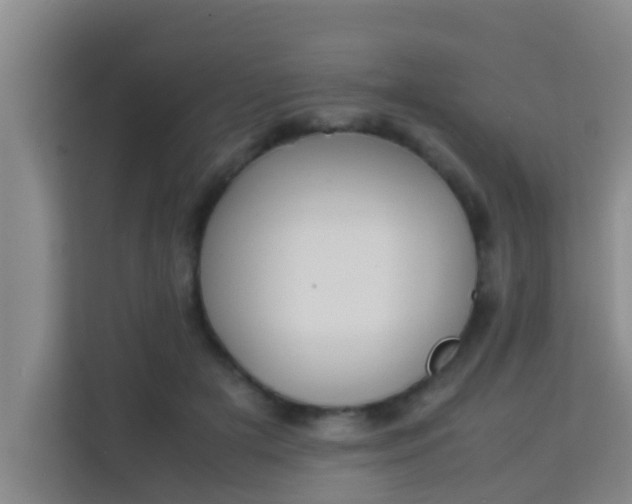 X0000113930505200910091605