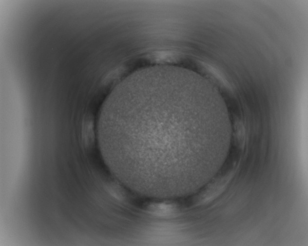 X0000113930506200910091605