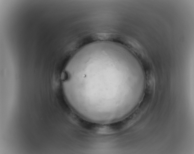 X0000113930507200910091605