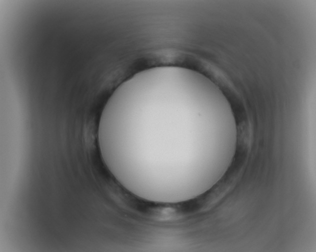 X0000113930509200910091605