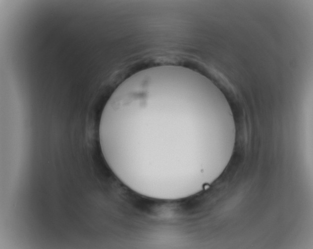 X0000113930513200910091605