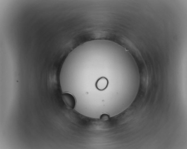 X0000113930516200910091605