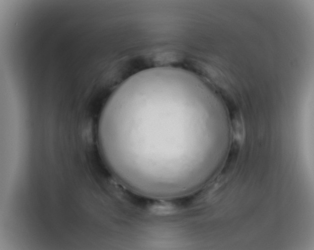 X0000113930519200910091605