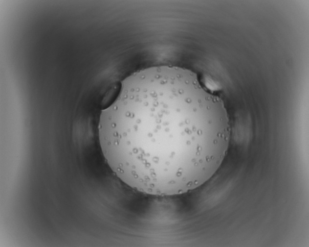 X0000113930520200910091605