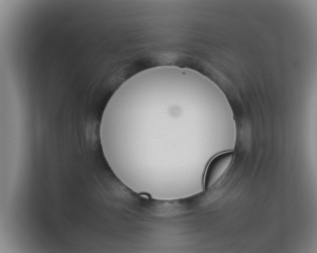 X0000113930525200910091605