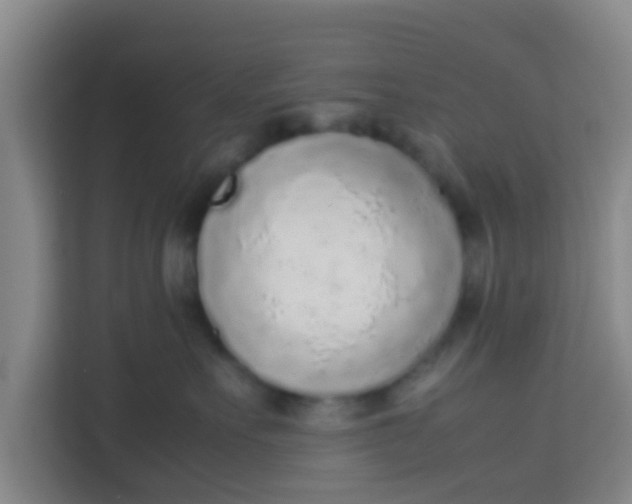 X0000113930527200910091605