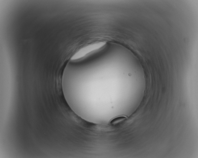 X0000113930528200910091605