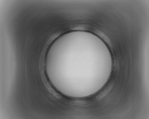 X0000113930529200910091604