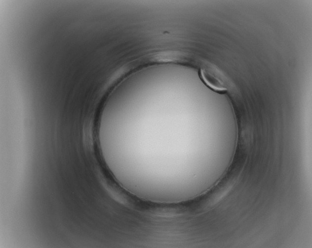 X0000113930530200910091604