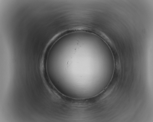 X0000113930532200910091604