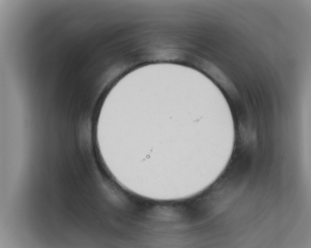 X0000113930534200910091604