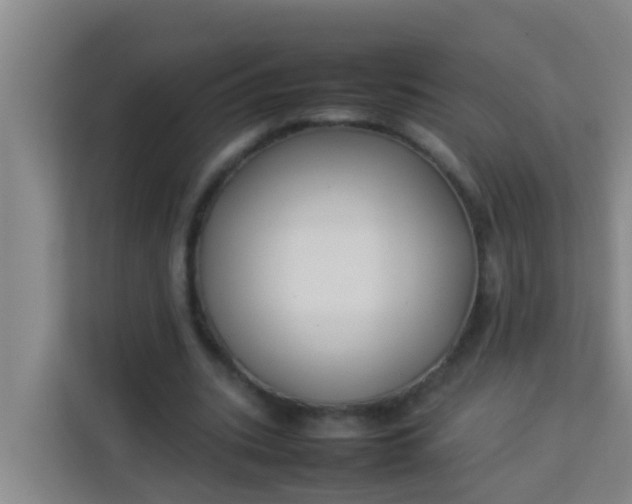 X0000113930535200910091604