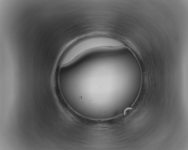 X0000113930536200910091604