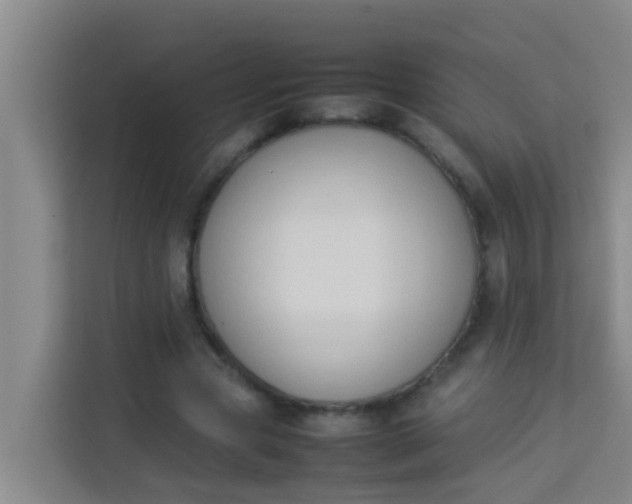 X0000113930537200910091604