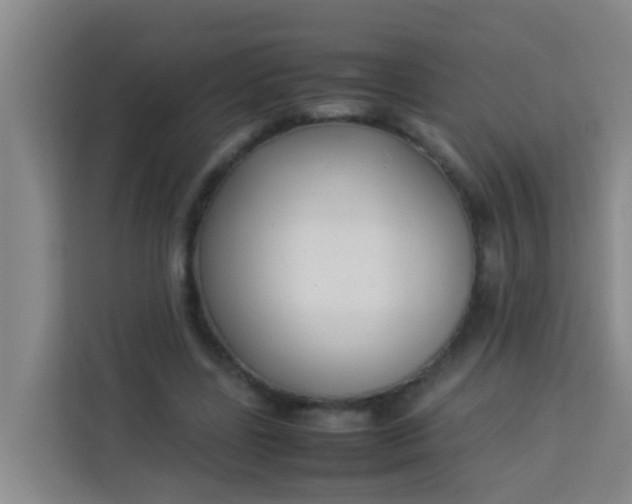 X0000113930539200910091604