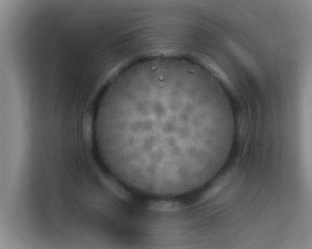 X0000113930542200910091604