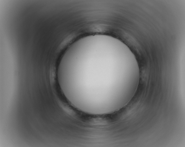 X0000113930544200910091604