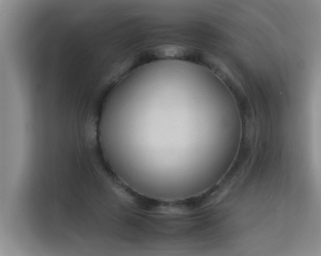 X0000113930545200910091604