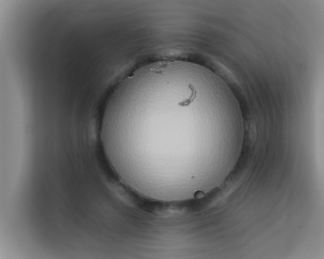 X0000113930546200910091604