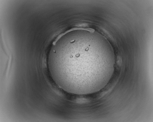 X0000113930547200910091604