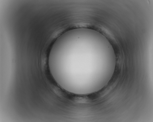 X0000113930548200910091604