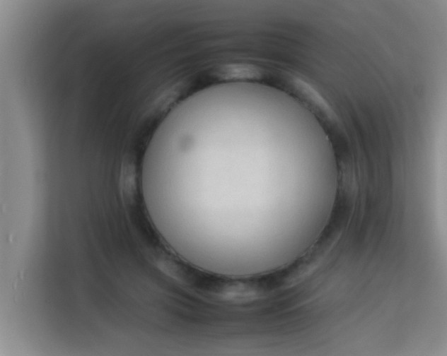 X0000113930549200910091604