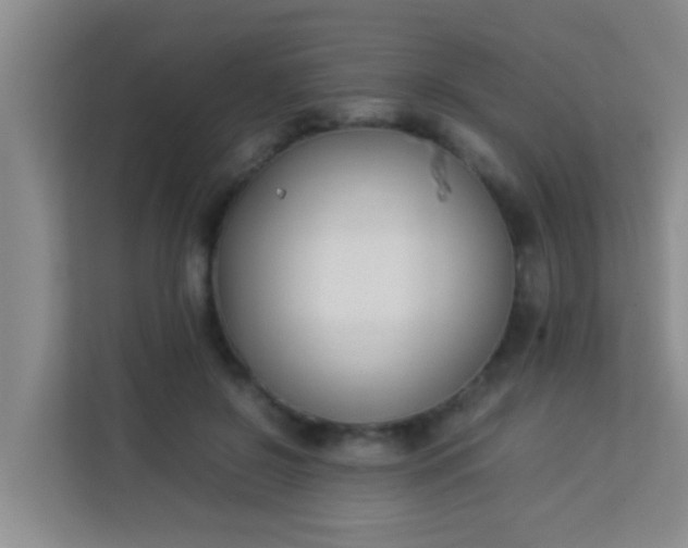 X0000113930550200910091604