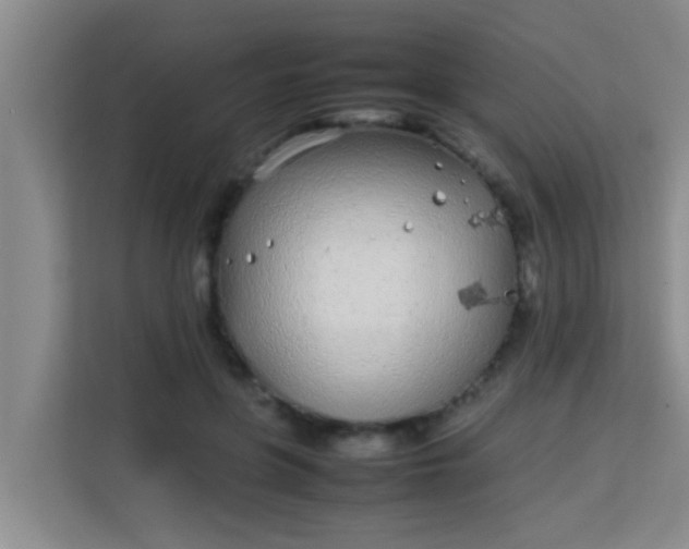 X0000113930551200910091604