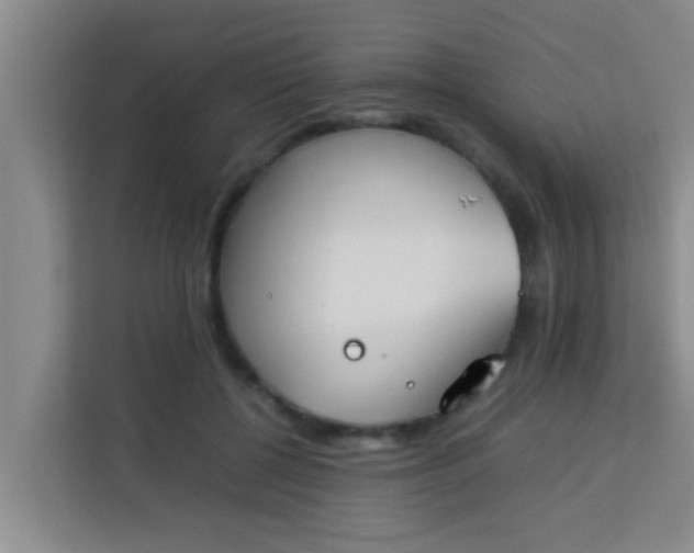 X0000113930552200910091604