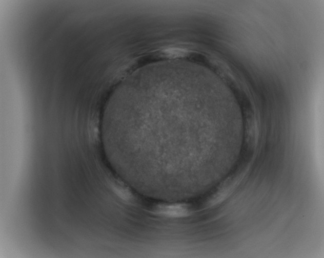 X0000113930553200910091604