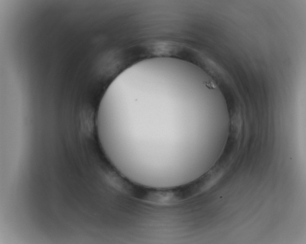 X0000113930554200910091604