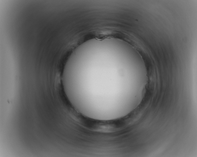 X0000113930555200910091604